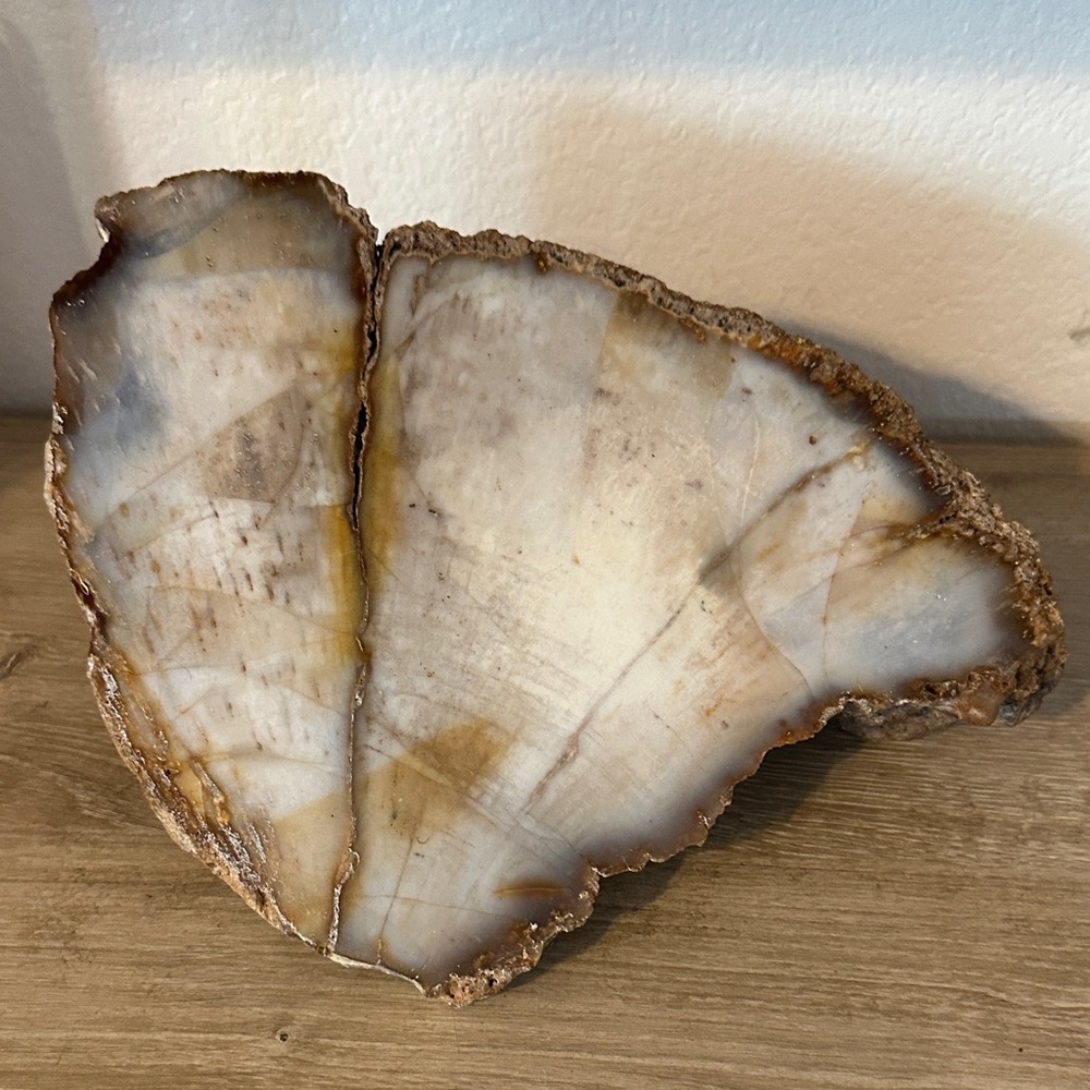12 lb Blue Coral